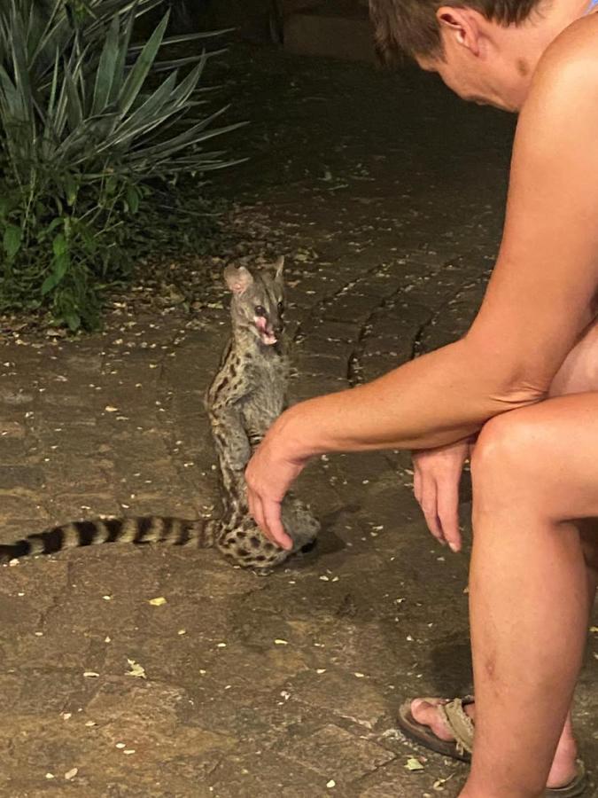 Kiburi Cottage @ Kruger マールロス・パーク エクステリア 写真