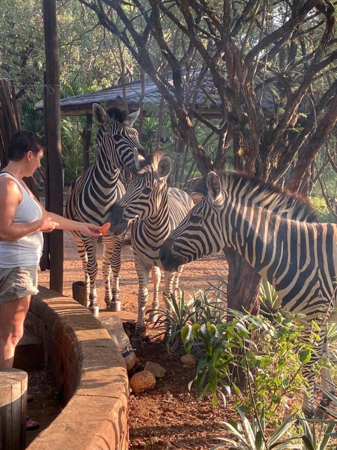 Kiburi Cottage @ Kruger マールロス・パーク エクステリア 写真