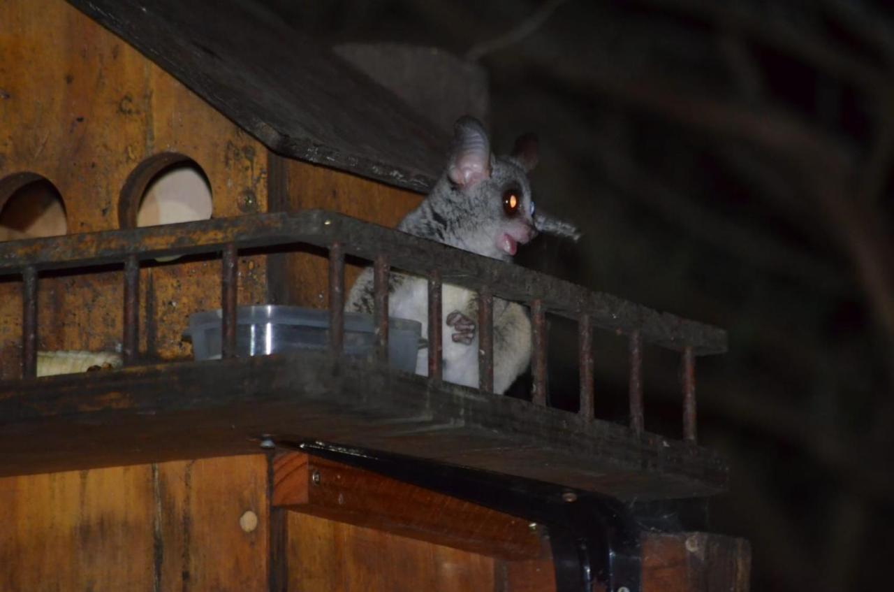 Kiburi Cottage @ Kruger マールロス・パーク エクステリア 写真